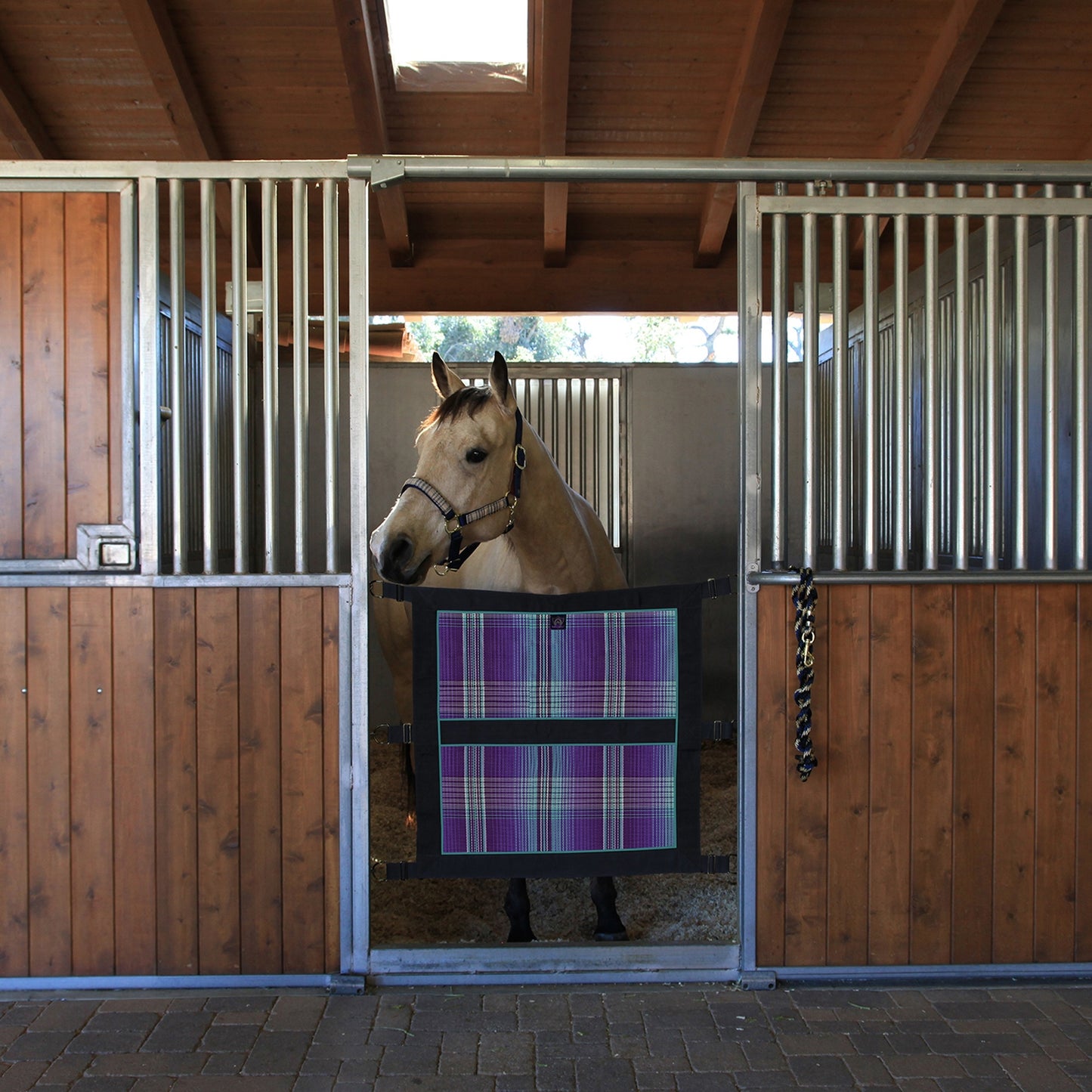 5-915143-01.jpg