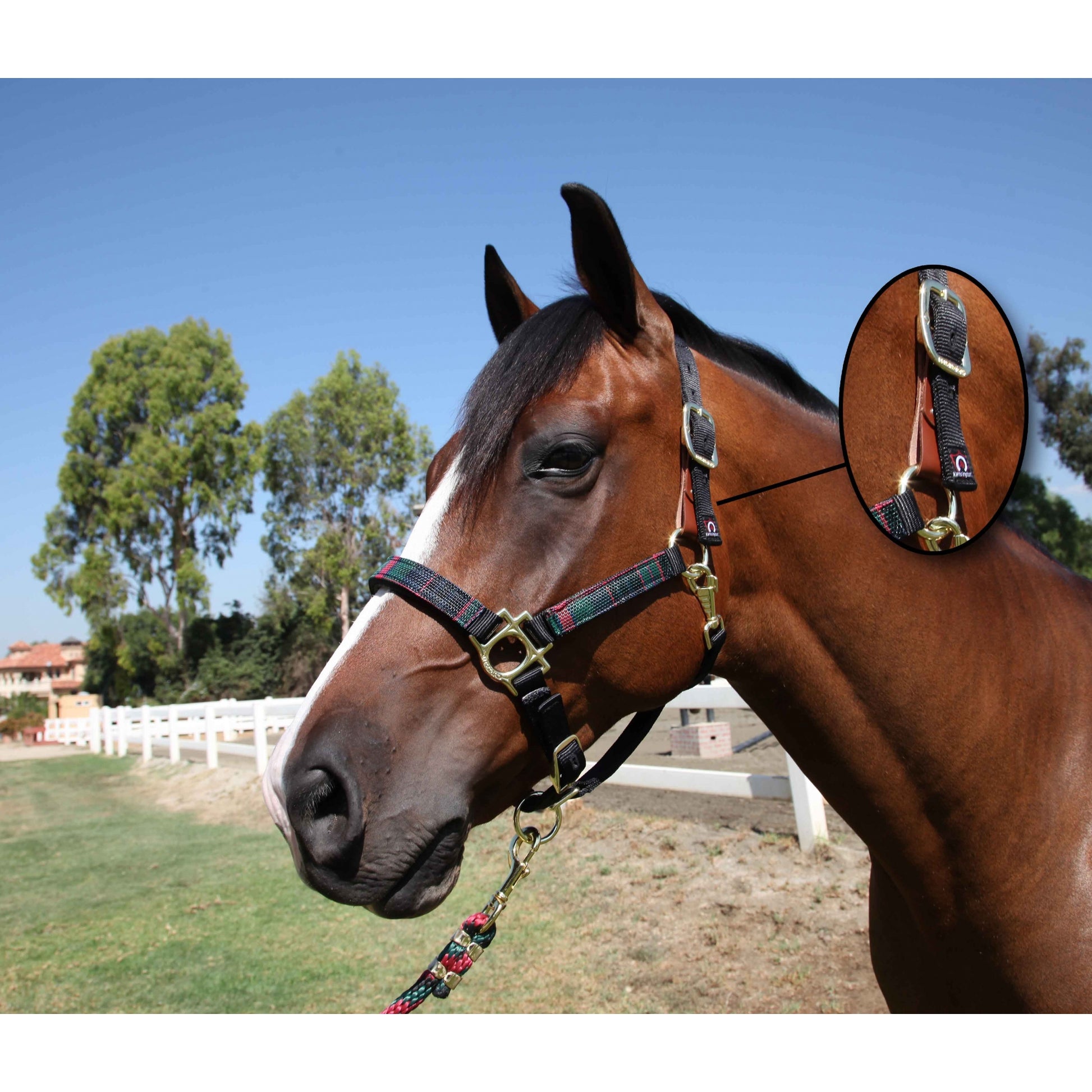 Kensington Breakaway Halter