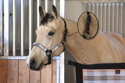 Kensington Breakaway Halter