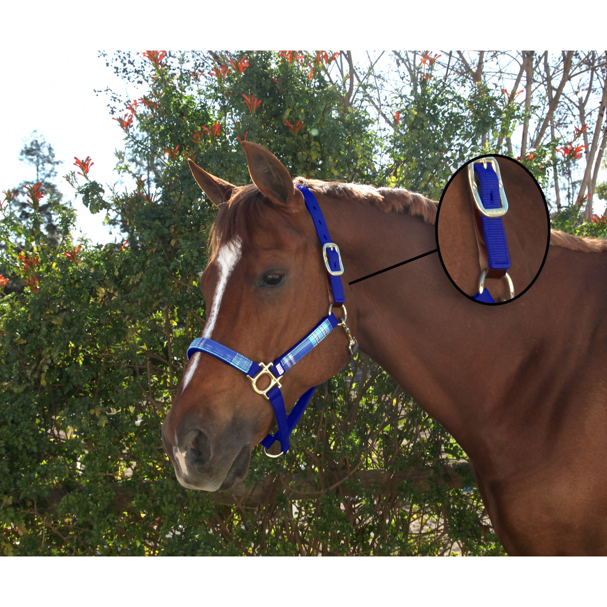 Kensington Breakaway Halter