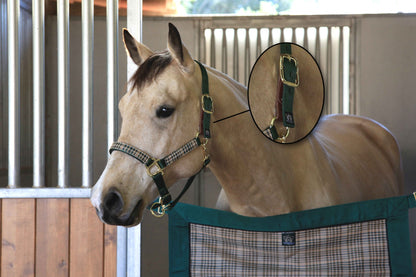 Kensington Breakaway Halter