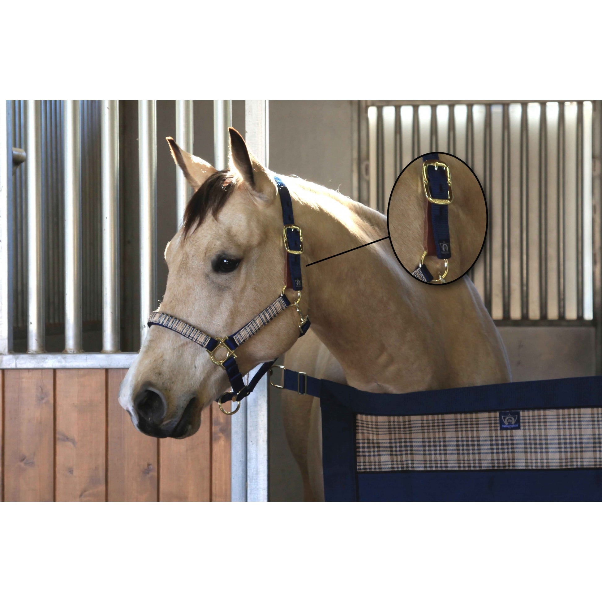 Kensington Breakaway Halter