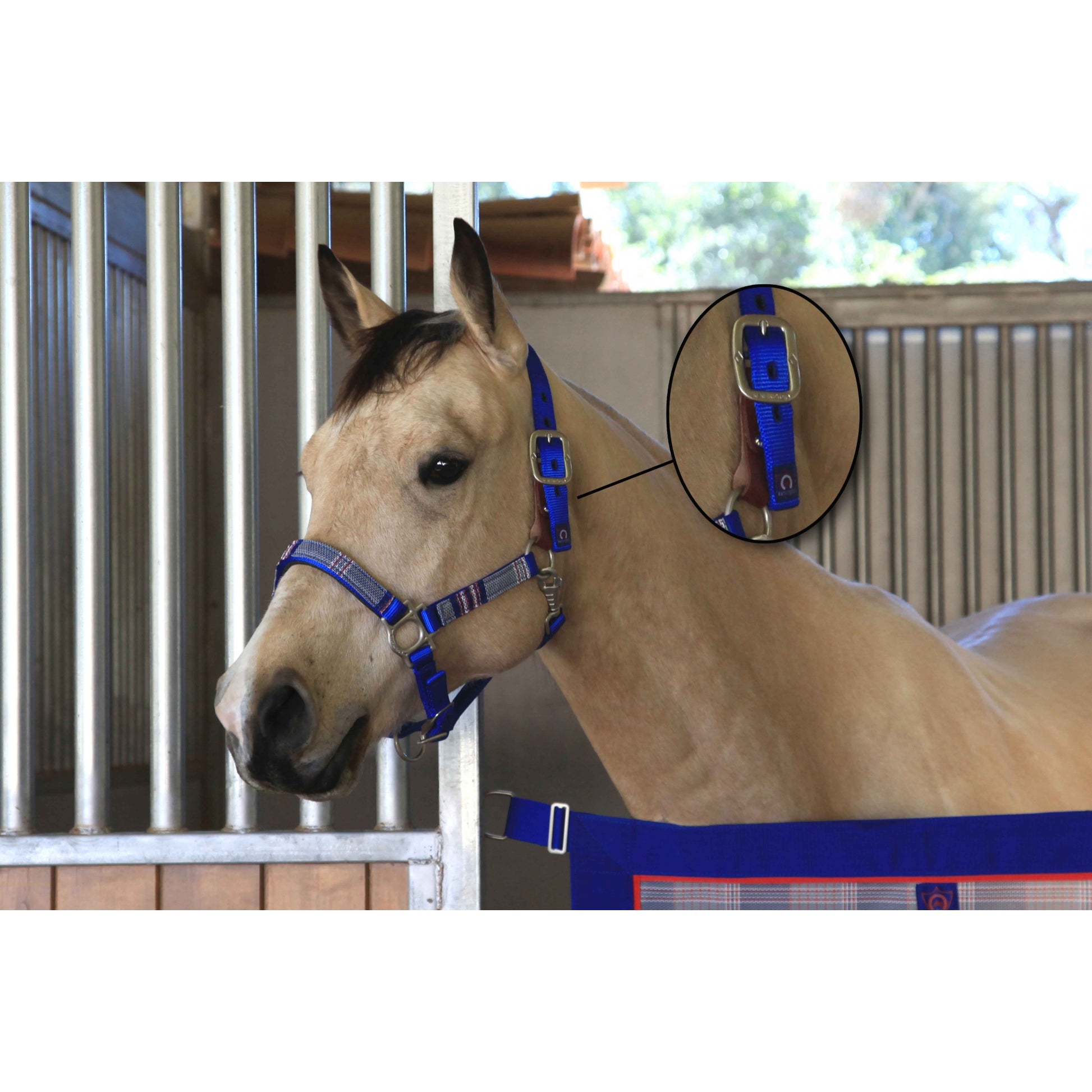 Kensington Breakaway Halter