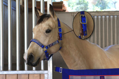 Kensington Breakaway Halter