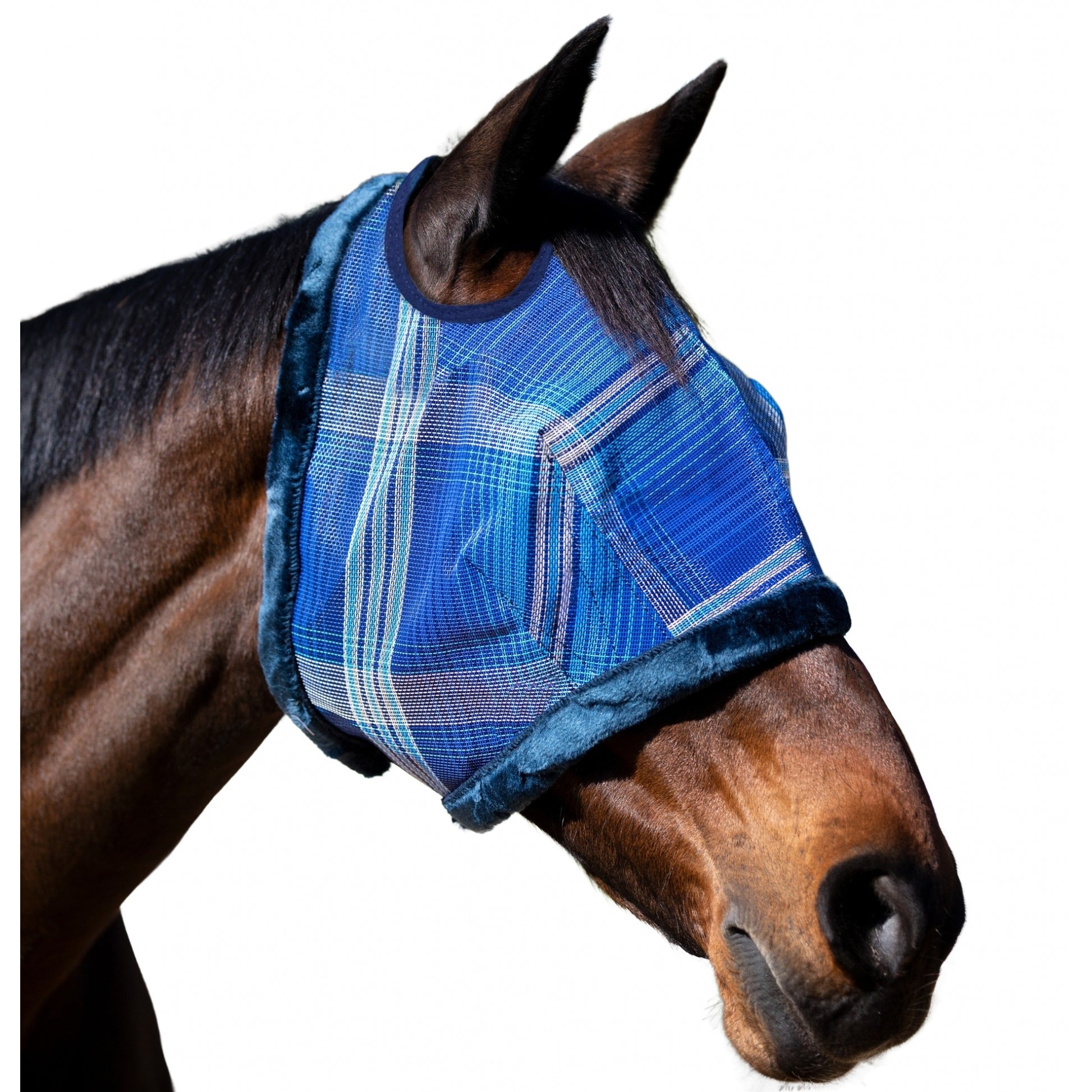 Kensington Draft UV Fleece Trim Fly Mask - Dual Ear & Forelock