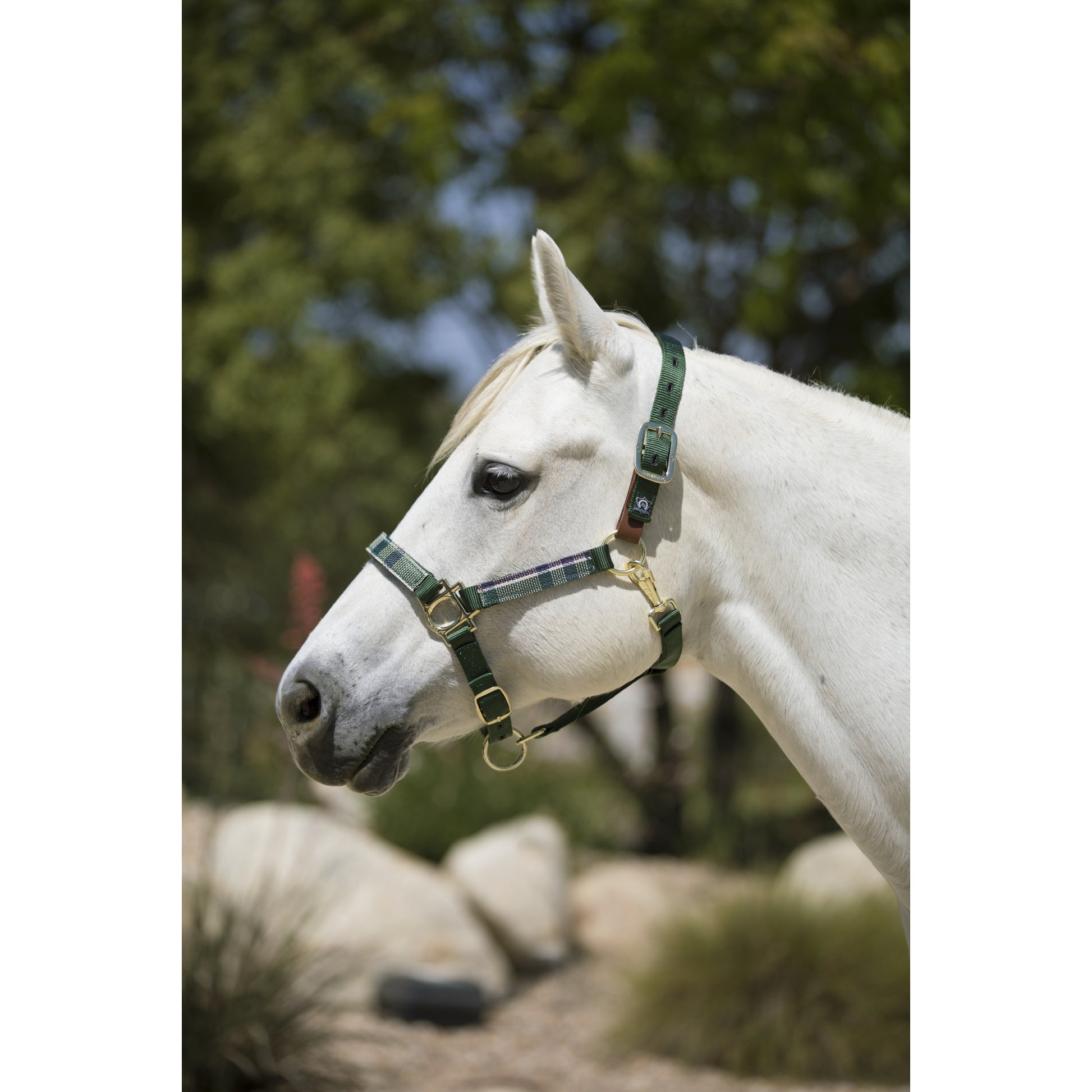 Kensington Breakaway Halter