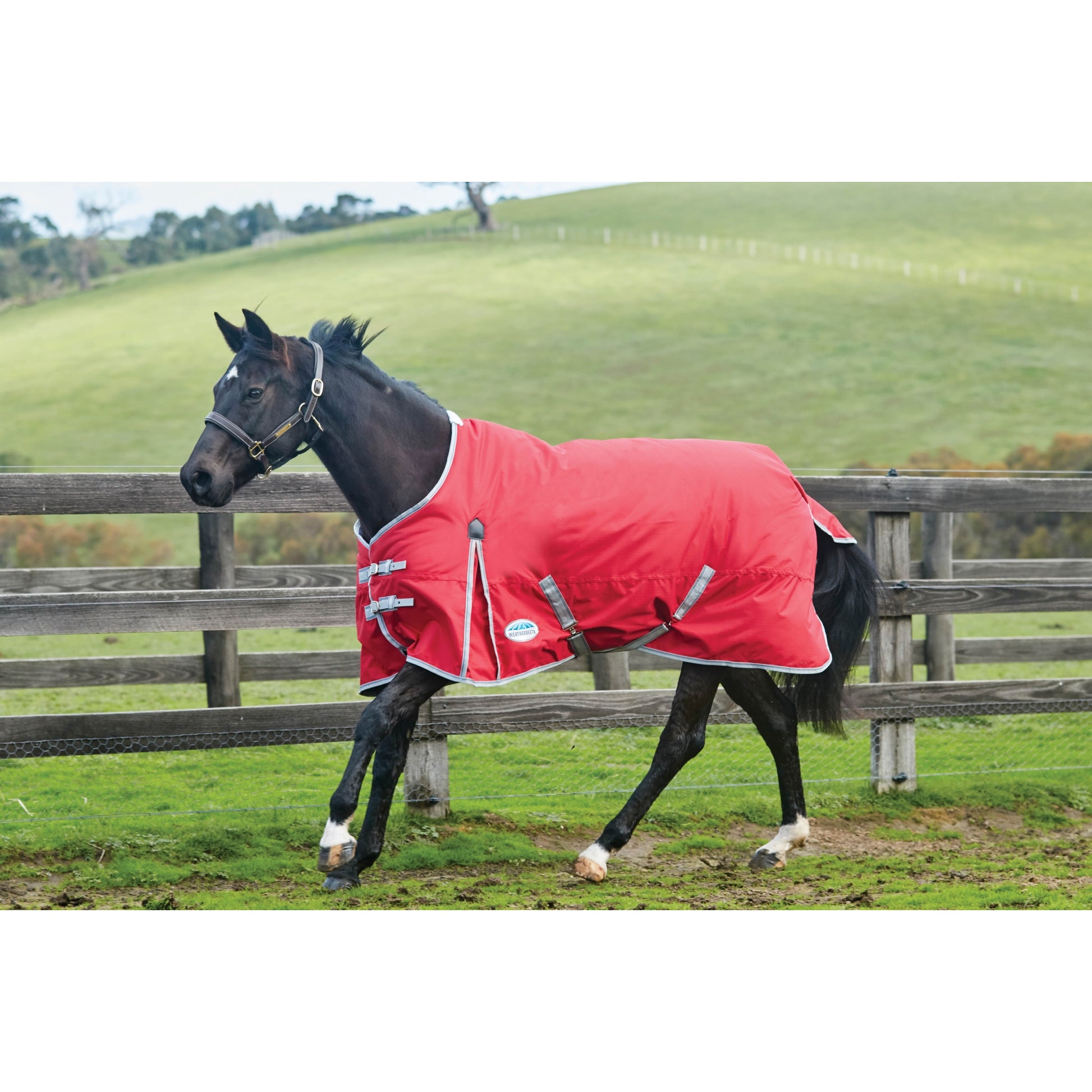 Weatherbeeta ComFiTec Classic Medium Turnout Blanket