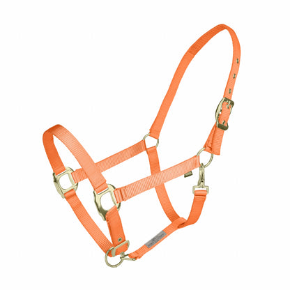 Kentucky Vogue Premium Shiny Nylon Halter