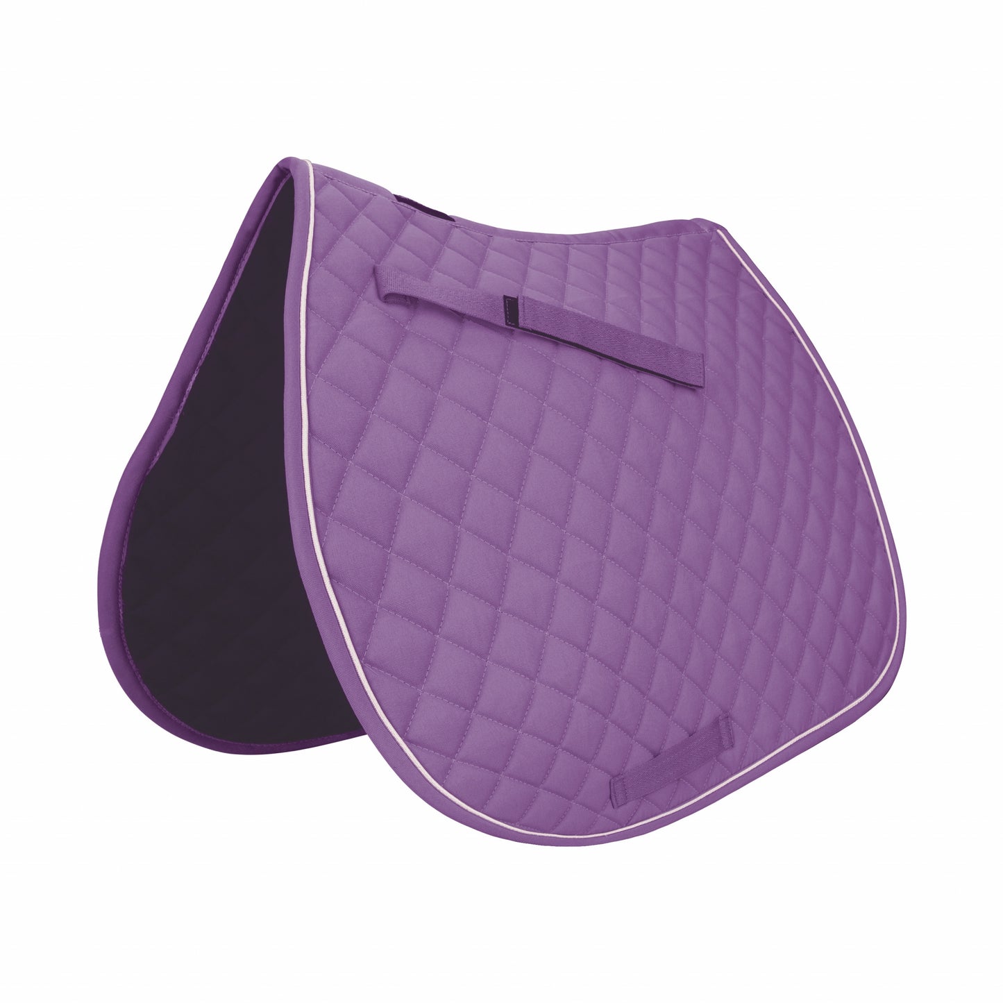 E072037_purple.jpg