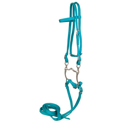 Western Bridle With Reins 10337 Black