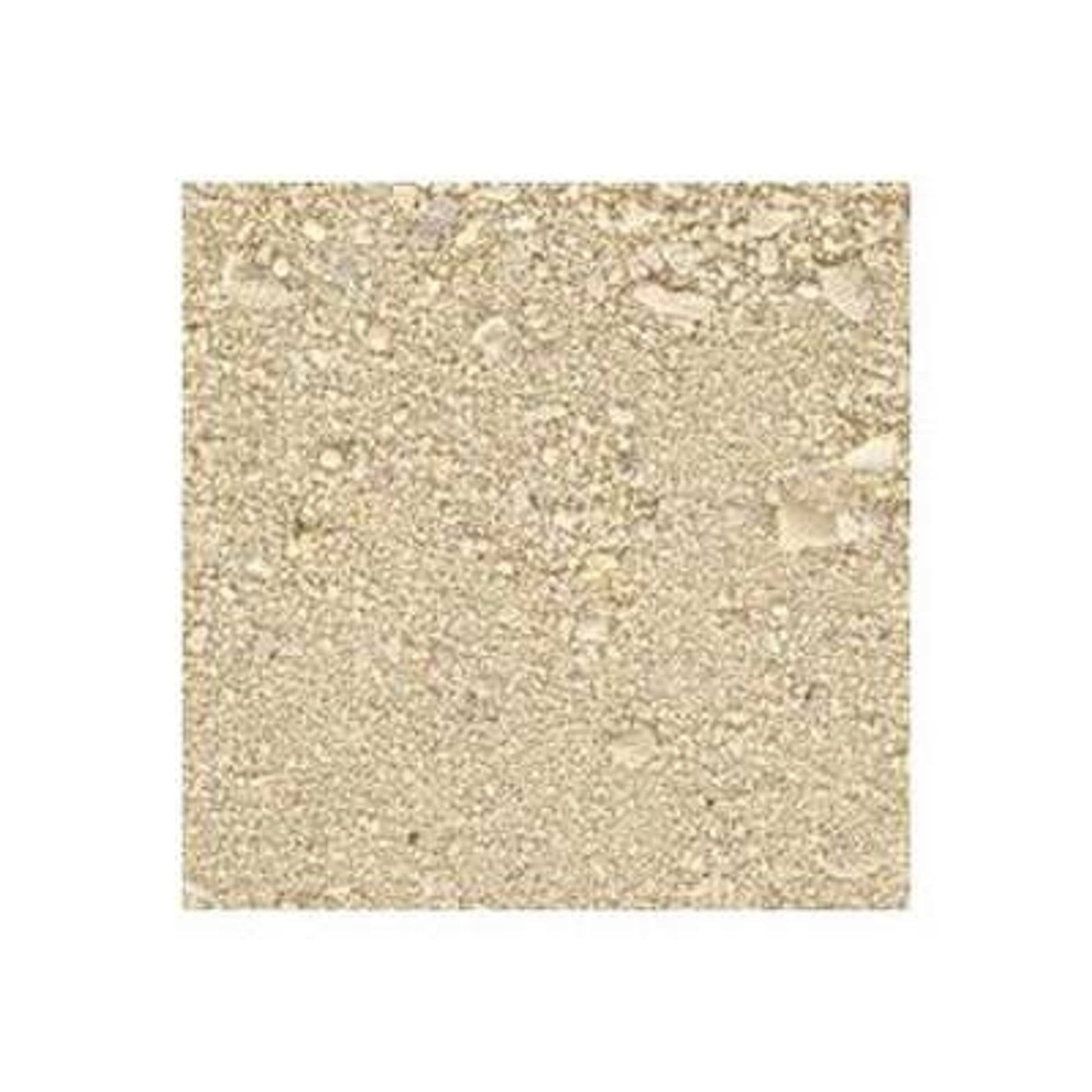 Caribsea Ocean Direct Natural Live Sand 20lb