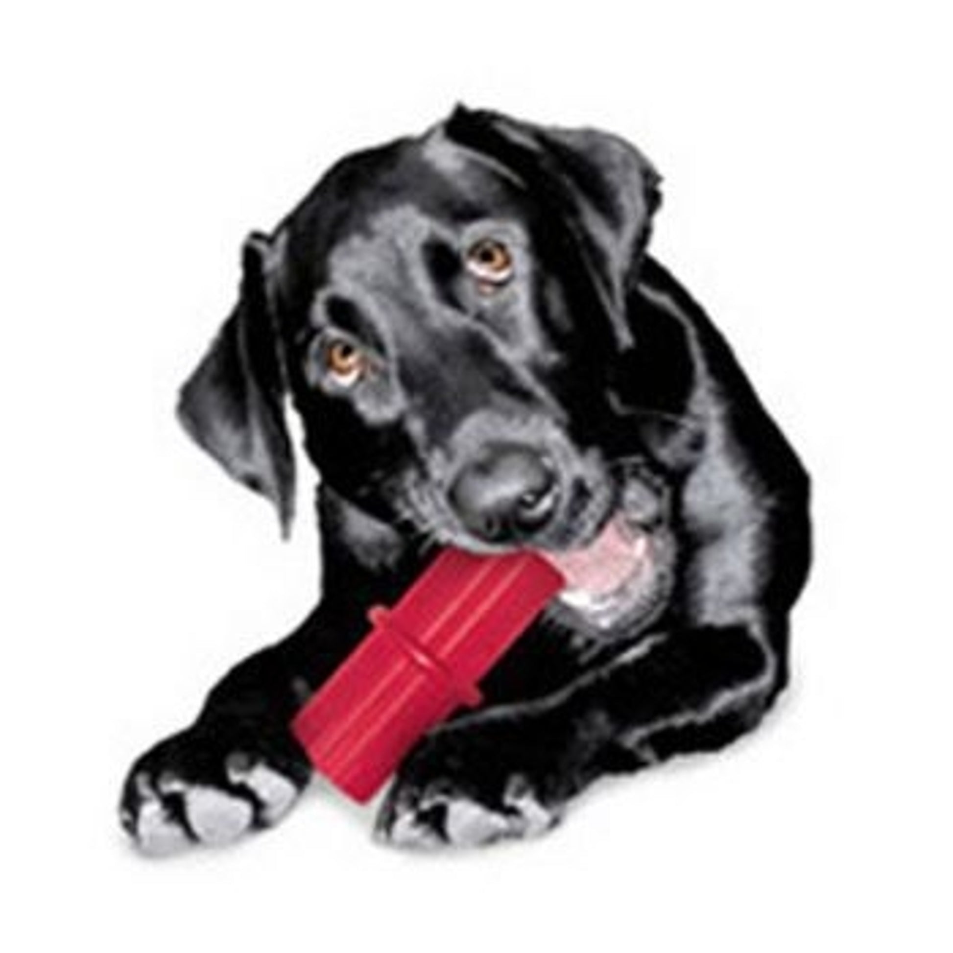 KONG Dental Stick Dog Toy
