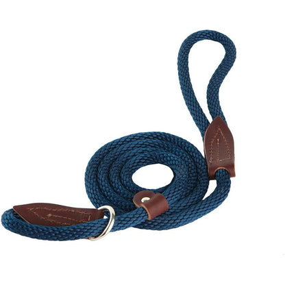 Slip Lead for Dogs