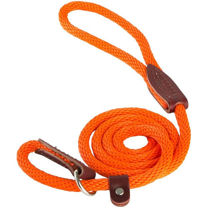 Slip Lead for Dogs