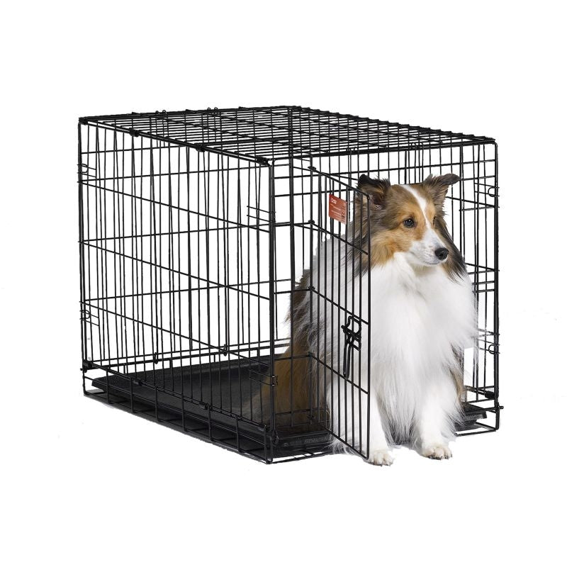 MidWest iCrate Dog Crate