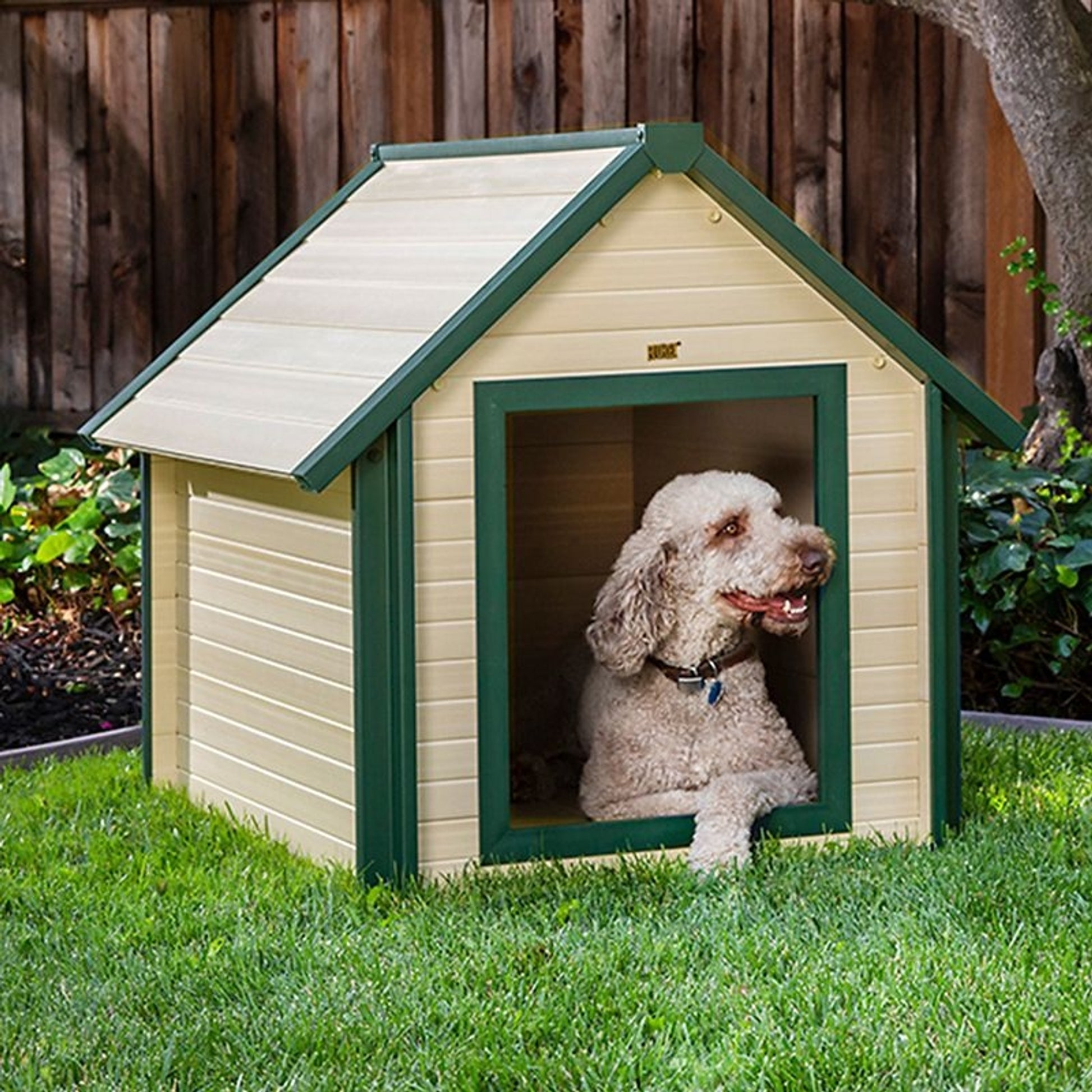 New Age Pet ecoFLEX Bunkhouse Dog House