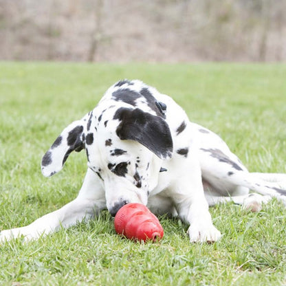 KONG STUFF'N Real Dog Treat