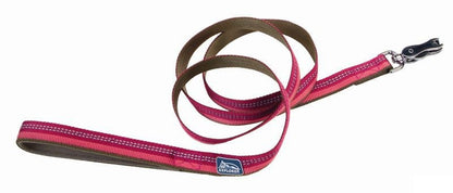 K9 Explorer Reflective Dog Leash
