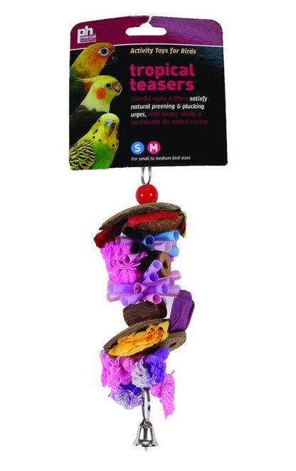 Tropical Teasers Party Time Bird Toy