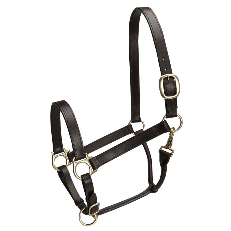 Basic Leather Adj Stable Halter with Snap