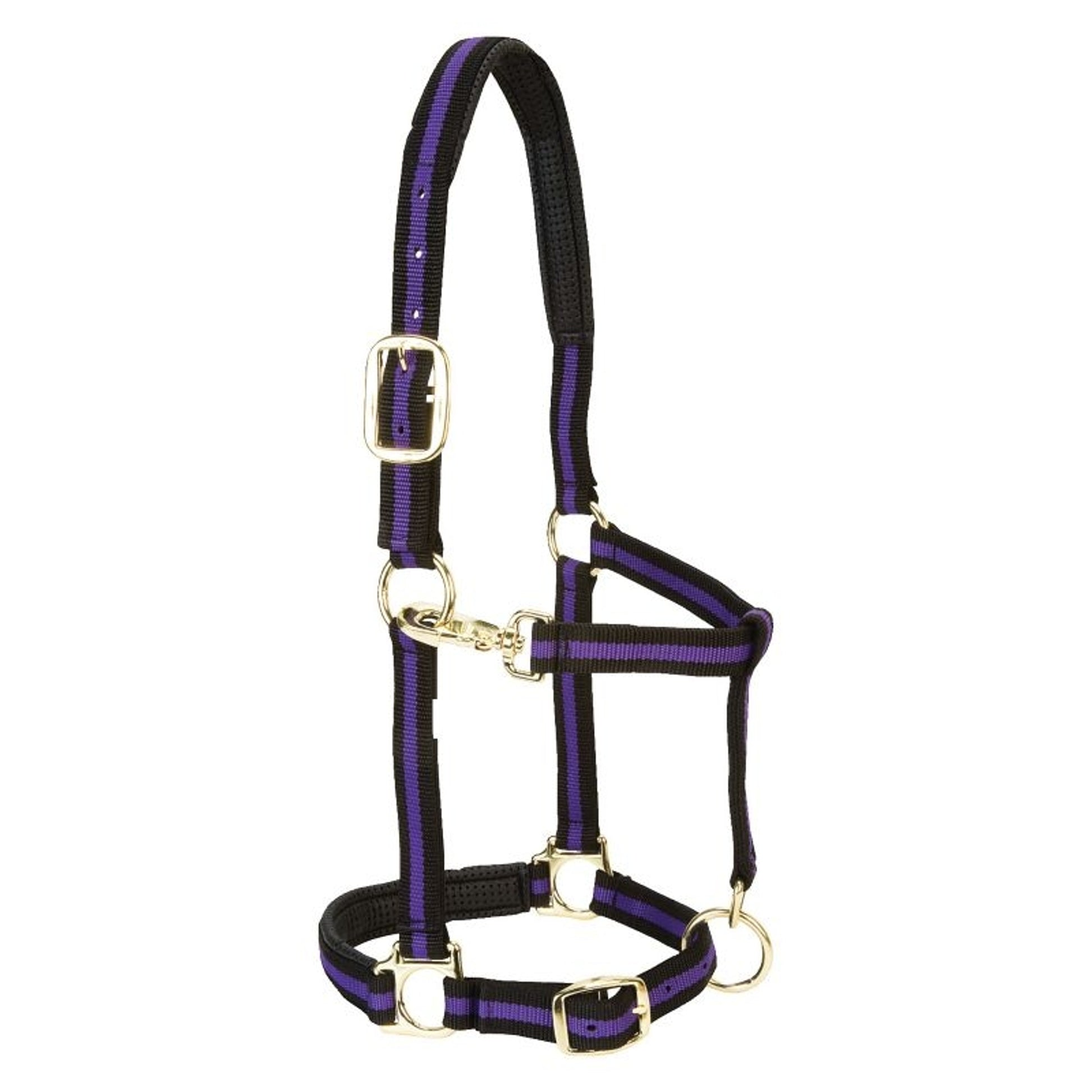 Weaver Leather Padded Adjustable Halter
