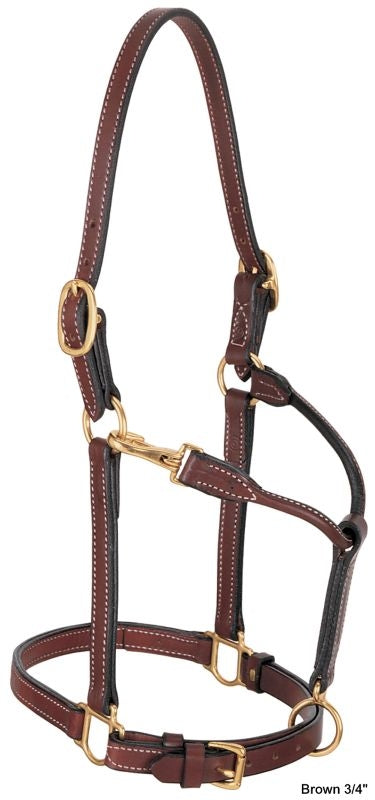 Weaver 1in Leather Track Halter
