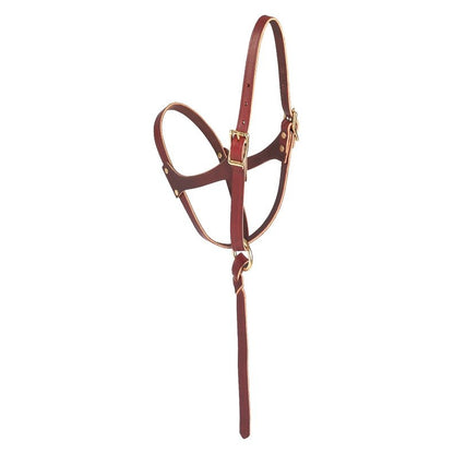 Weaver Figure 8 Foal Halter