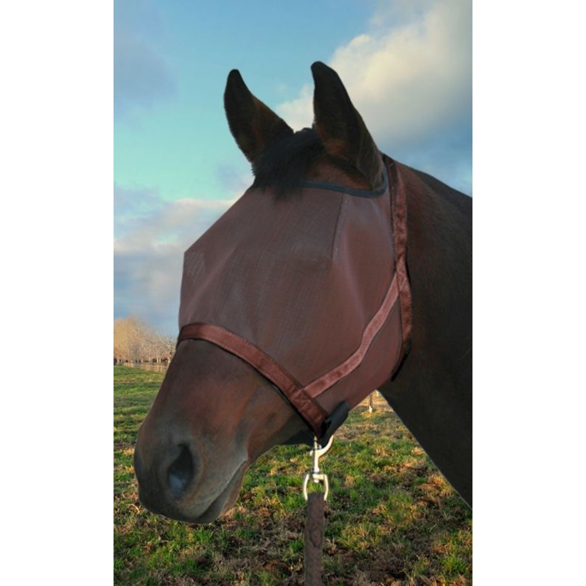 Kensington CatchMask