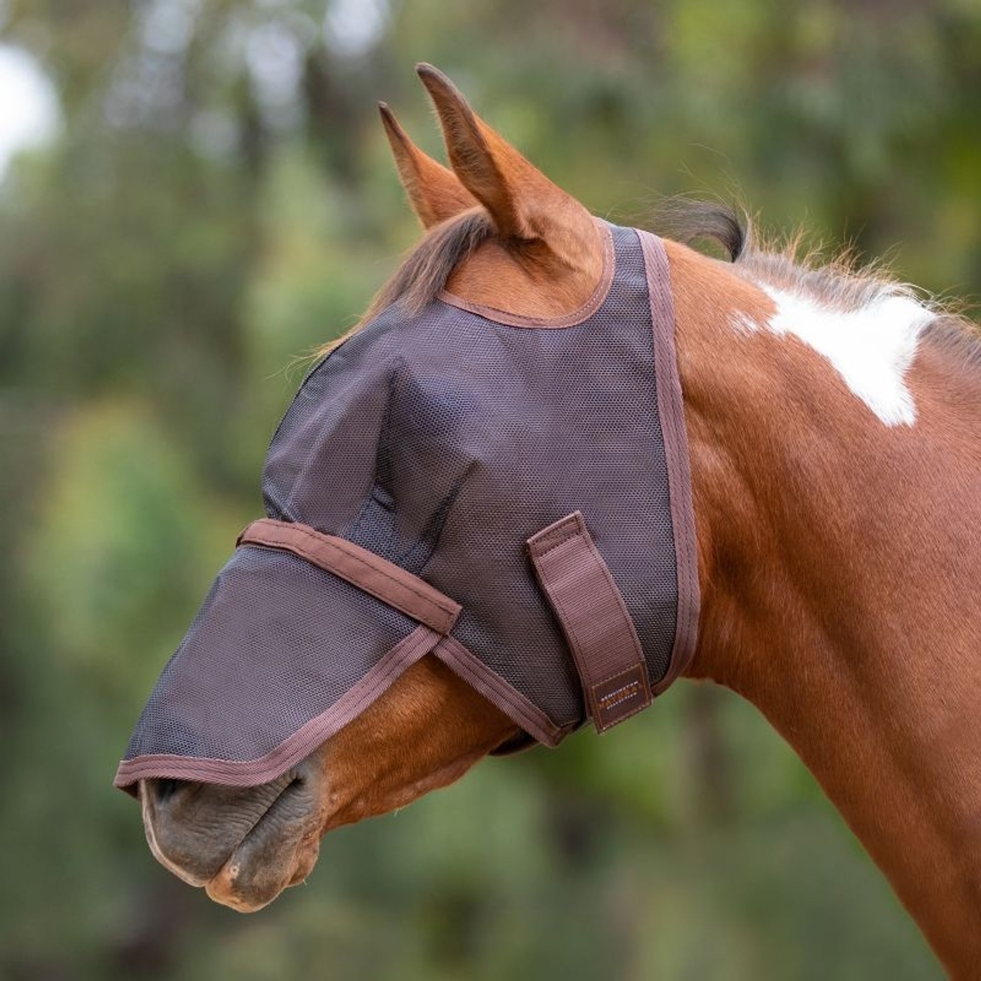 Kensington Long Nose Fly Mask
