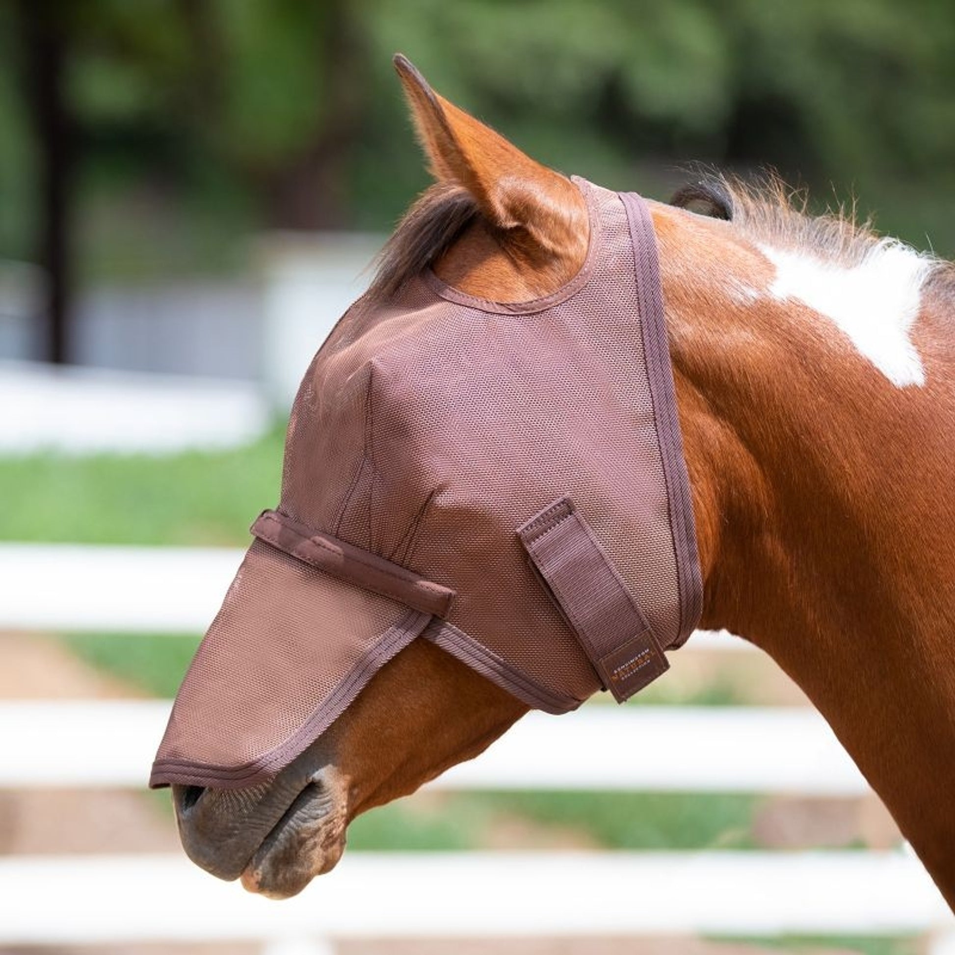 Kensington Long Nose Fly Mask