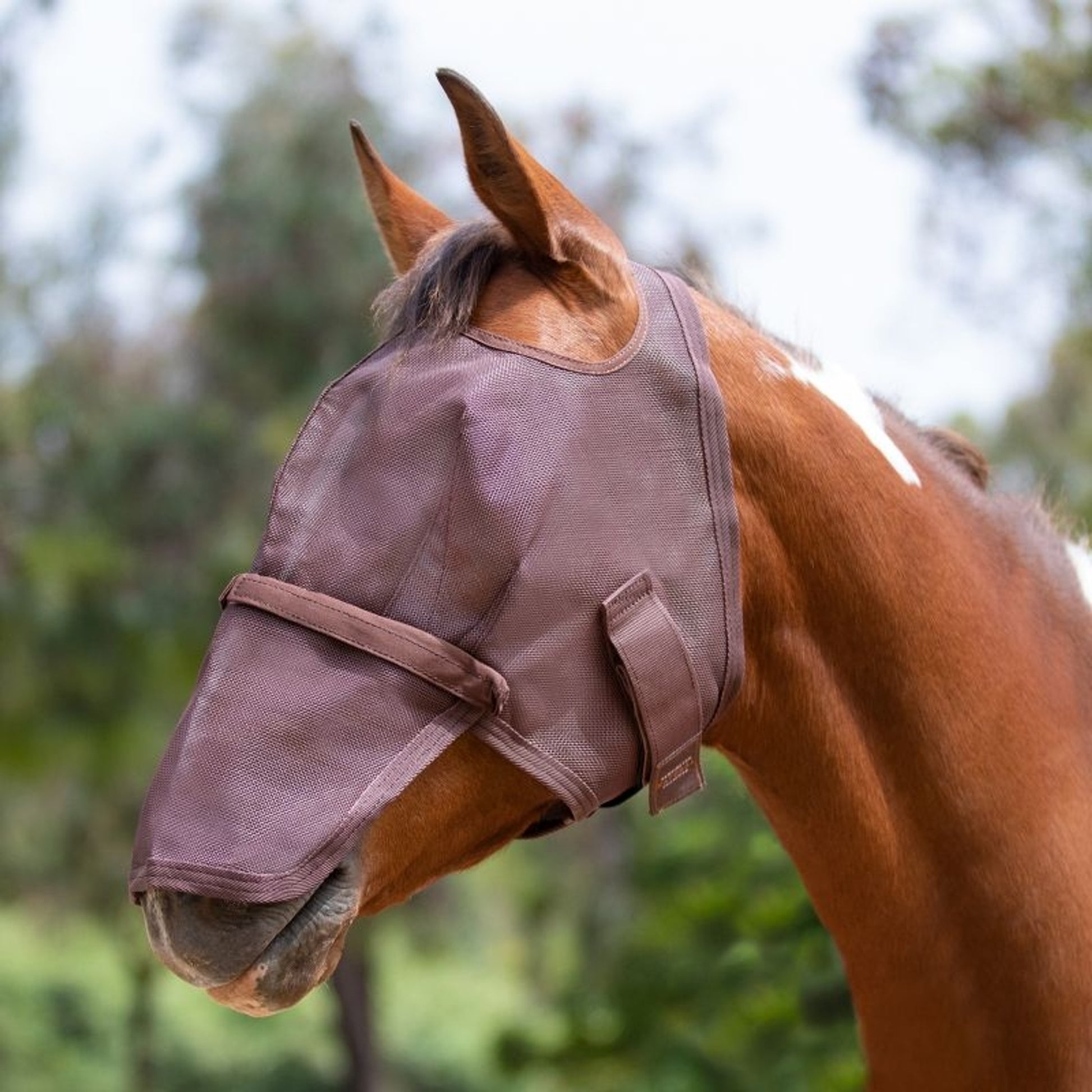 Kensington Long Nose Fly Mask