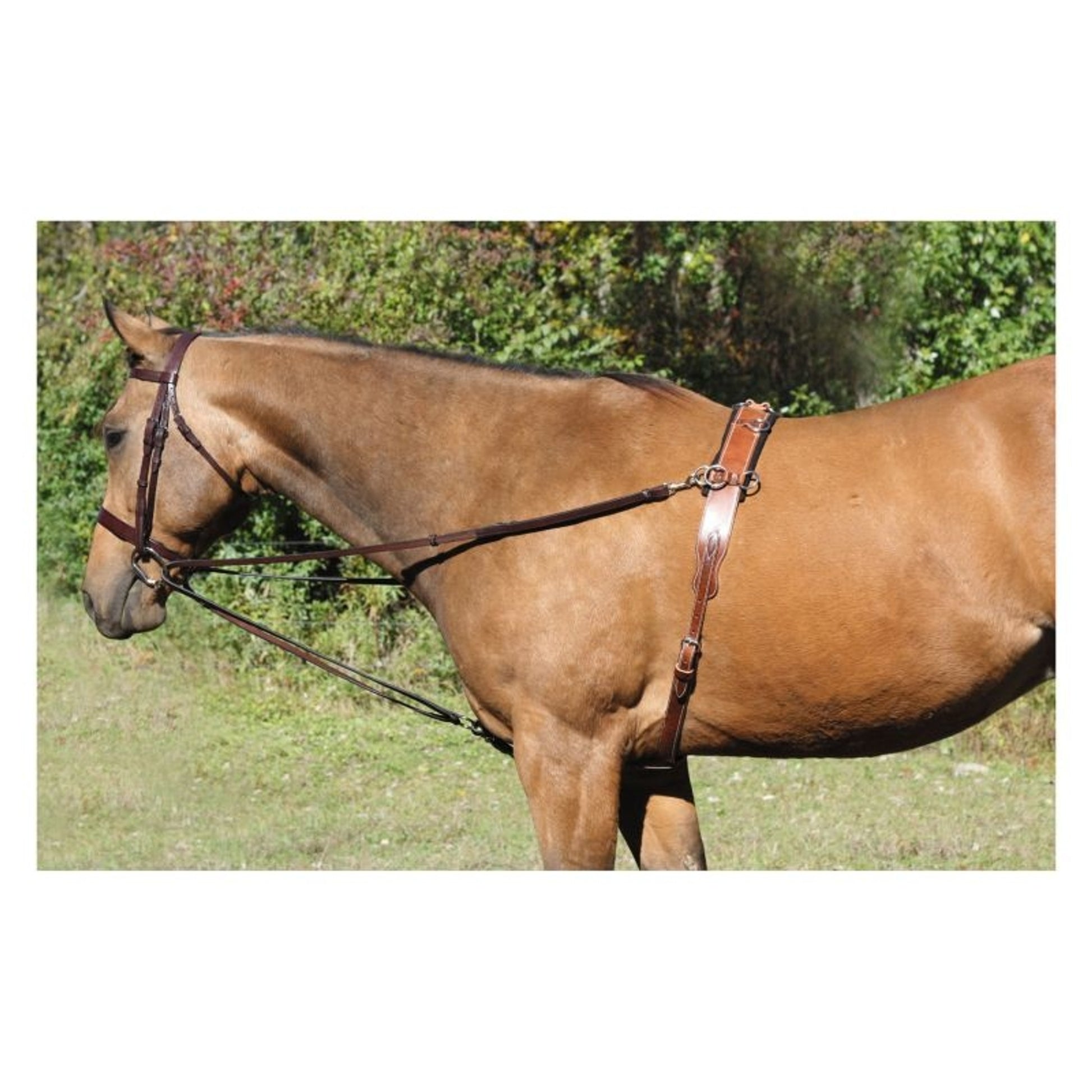 Tory Vienna Training Draw Reins