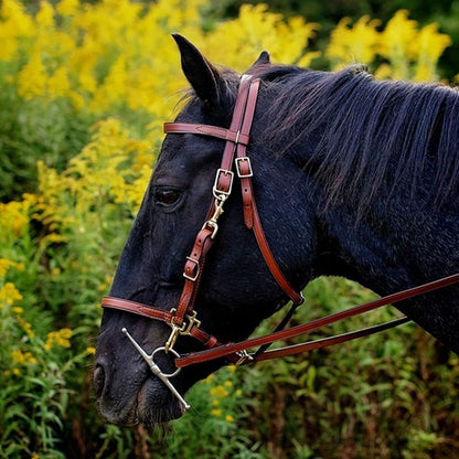 Tory Halter Trail Bridle
