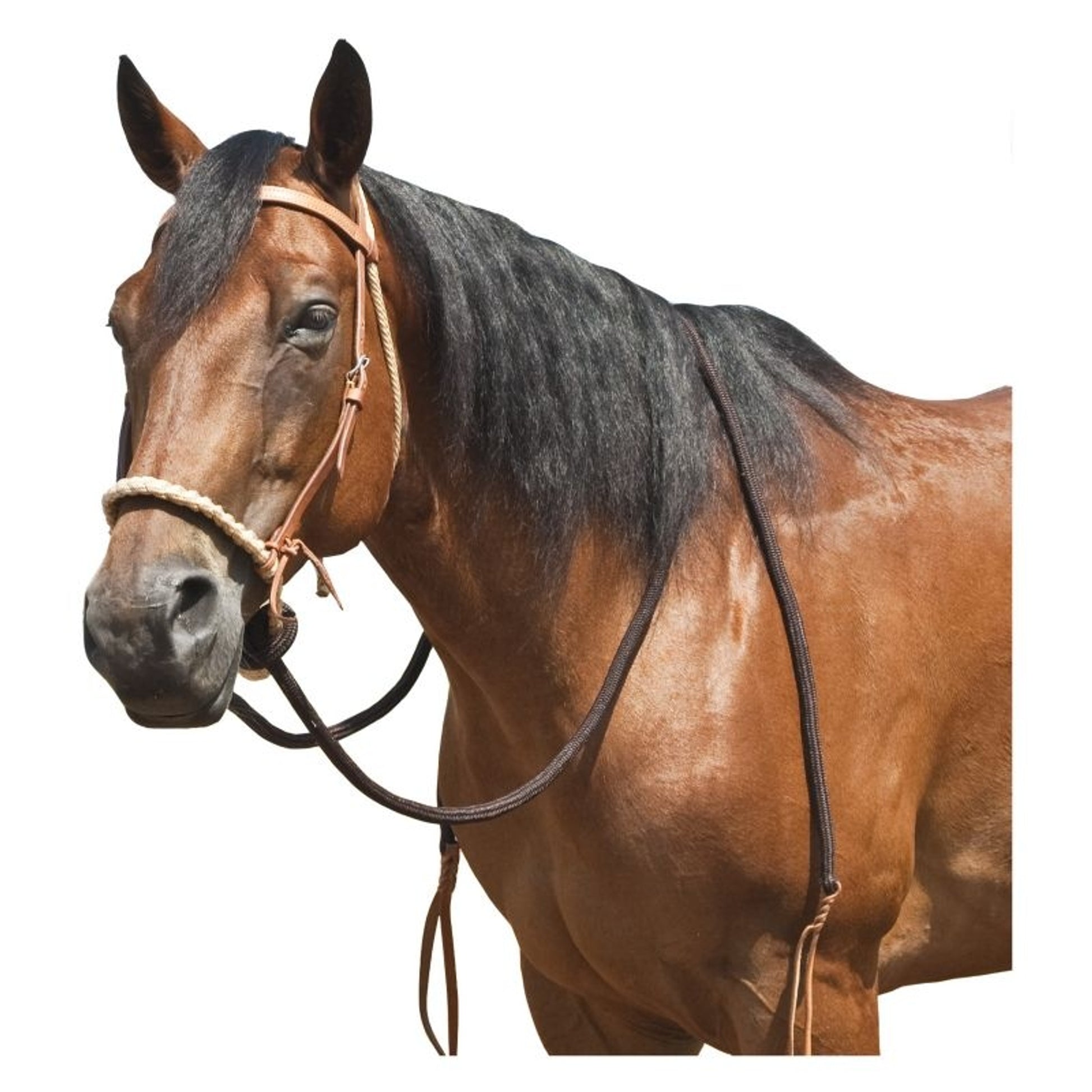 Mustang Harness Leather Breaking Hackamore