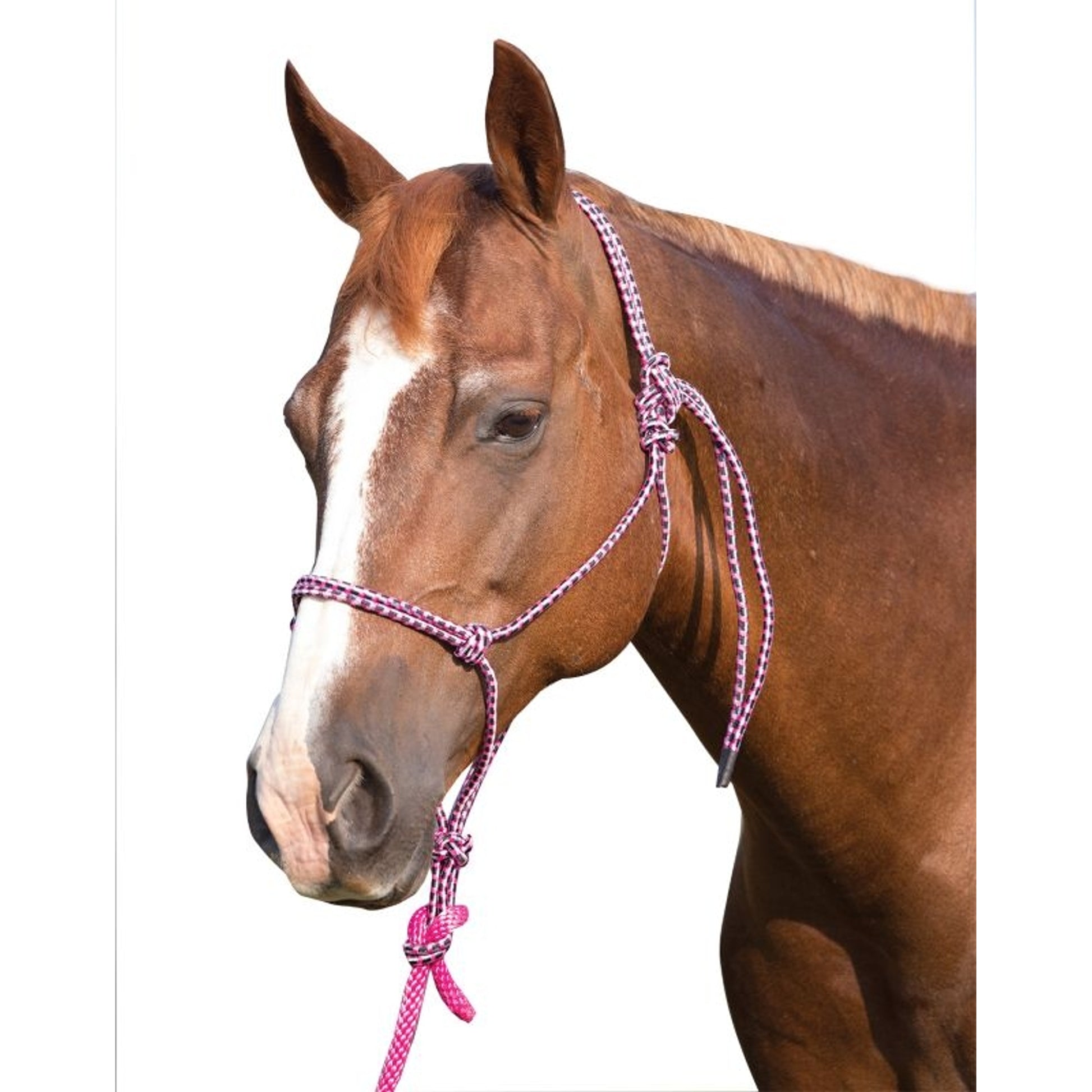 Mustang Economy Mountain Rope Halter