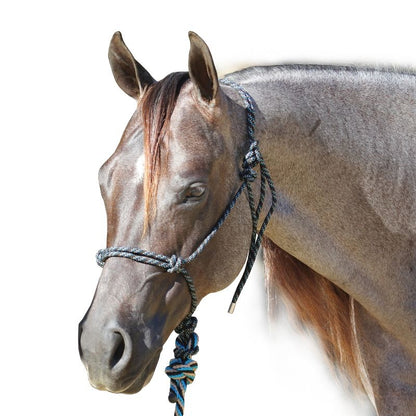 Professionals Choice Rope Halter with Lead
