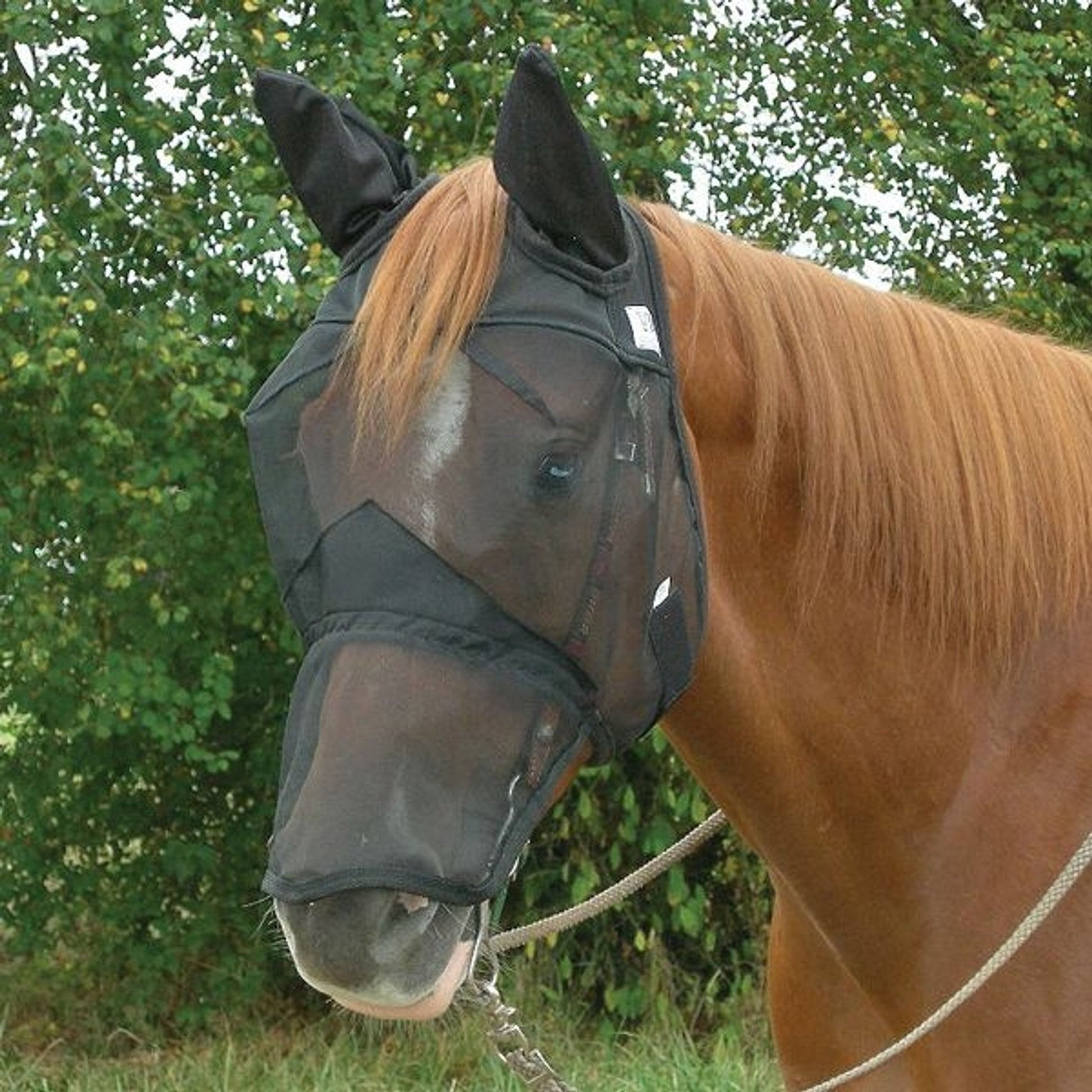 Cashel Quiet Ride Extended Nose Fly Mask with Ears
