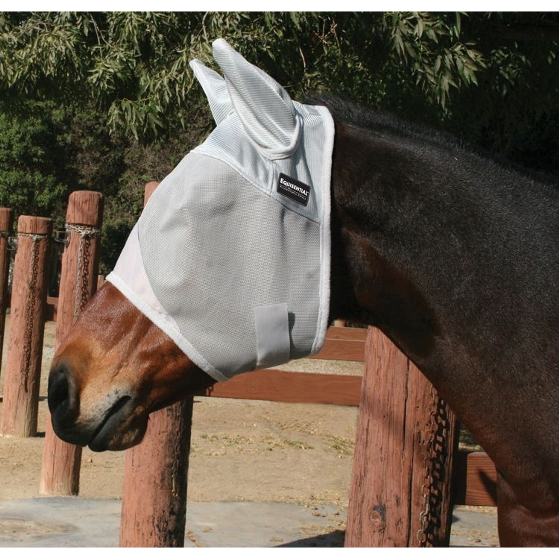 Pro Choice Equisential Fly Mask With Ears