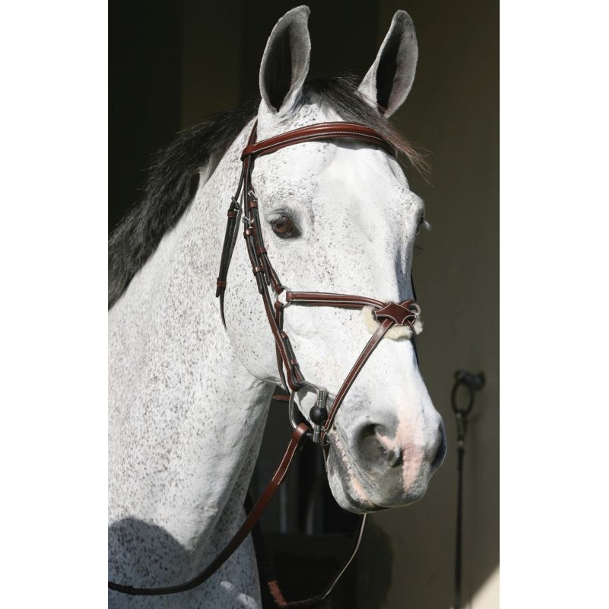 HDR Pro Mono Crown Figure 8 Bridle