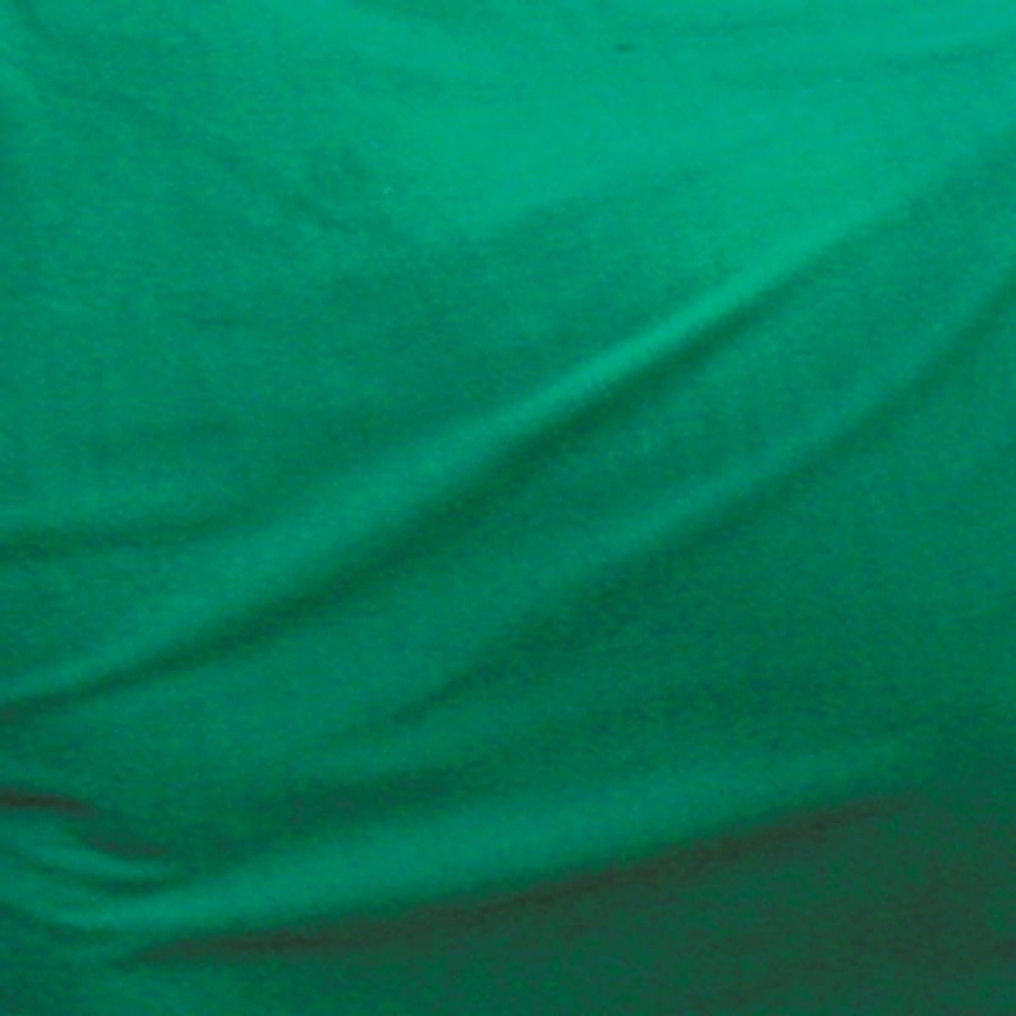 TE003236_230012.jpg