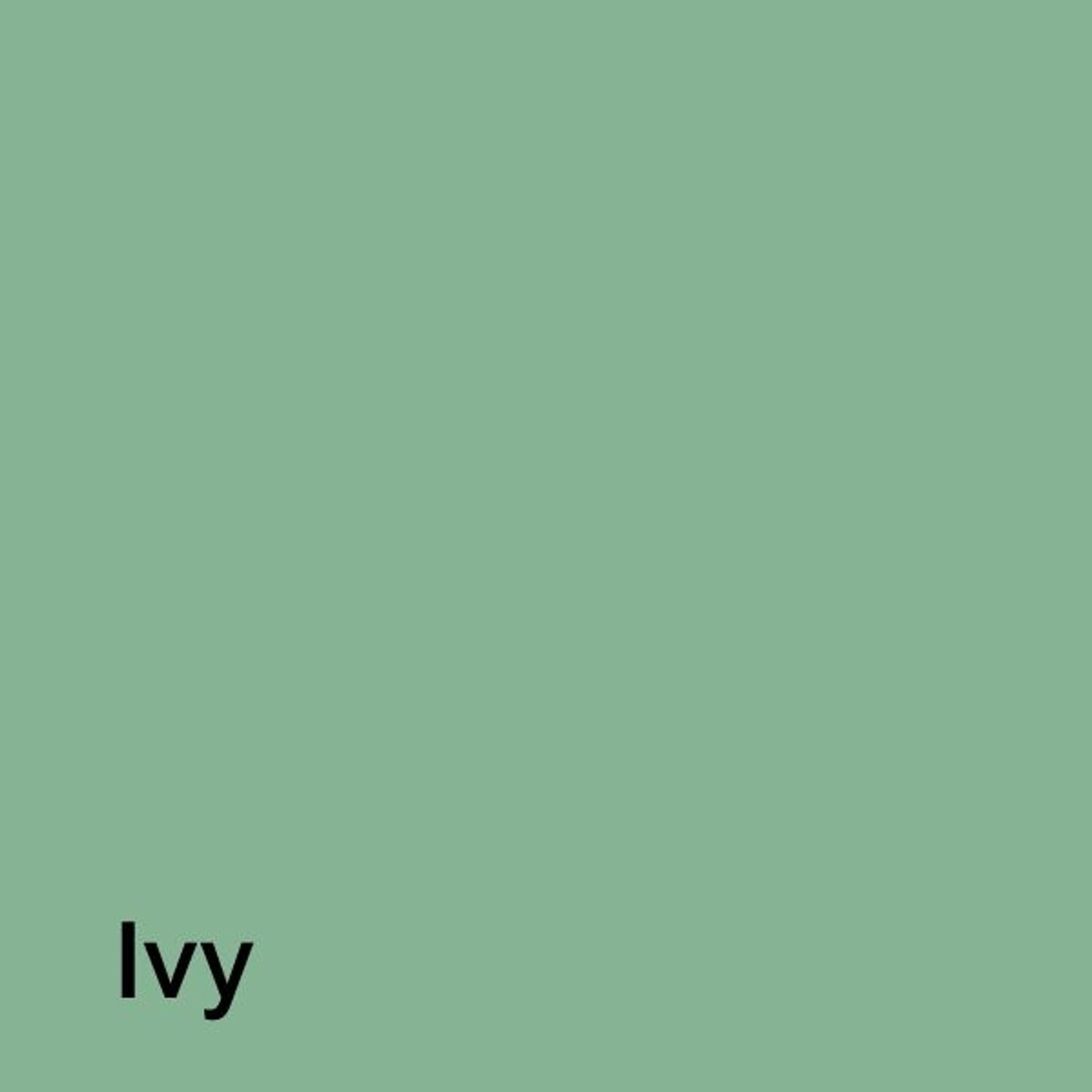 TE003575_03.jpg