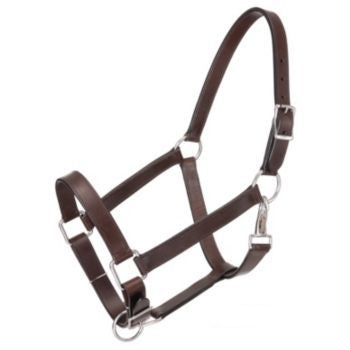 Tough1 Leather Draft Stable Halter