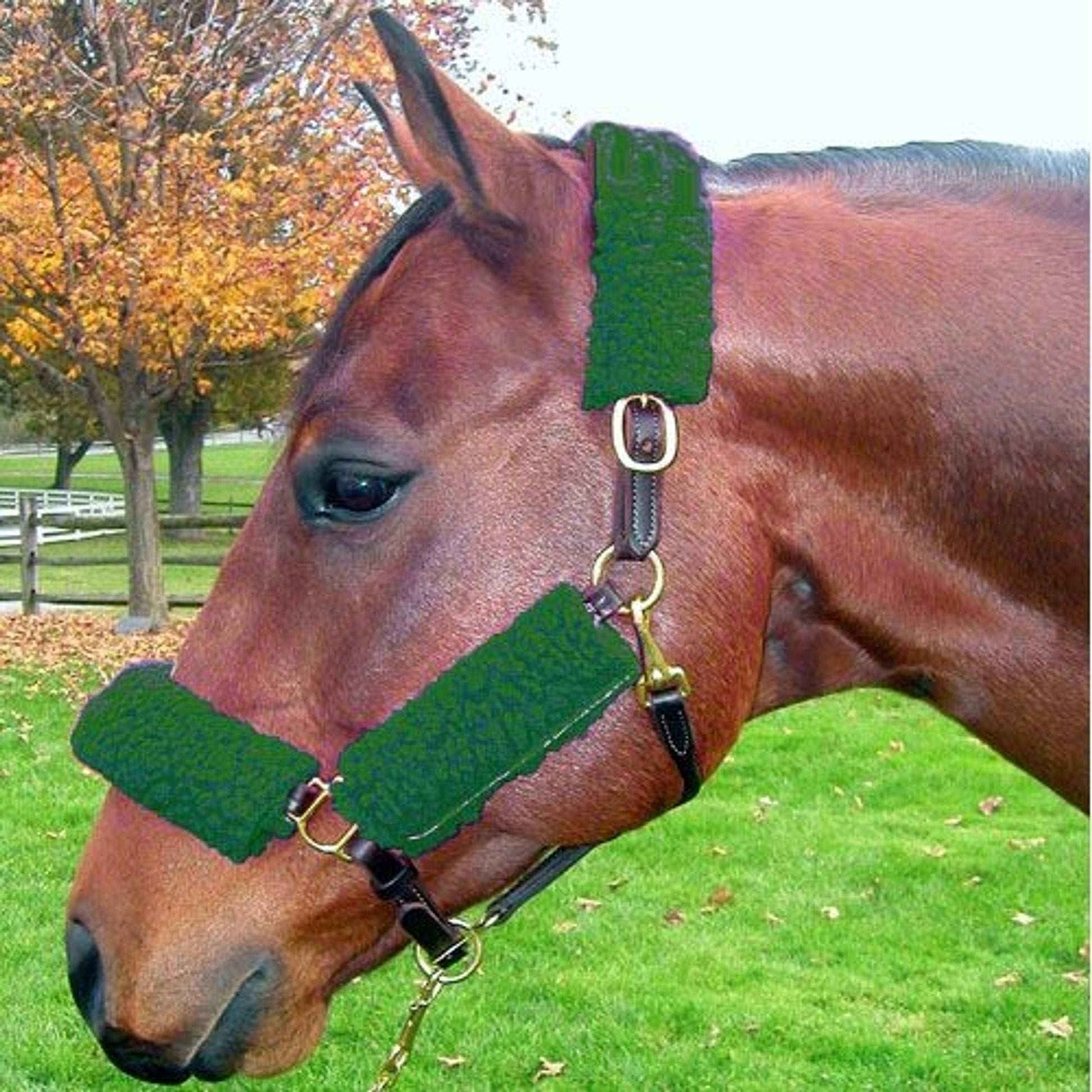 Basic Fleece Halter Crown Cover