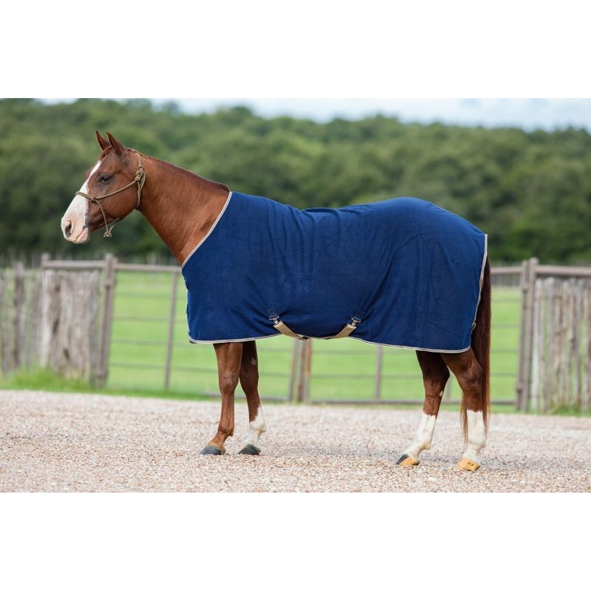 Amigo Mio Fleece Cooler