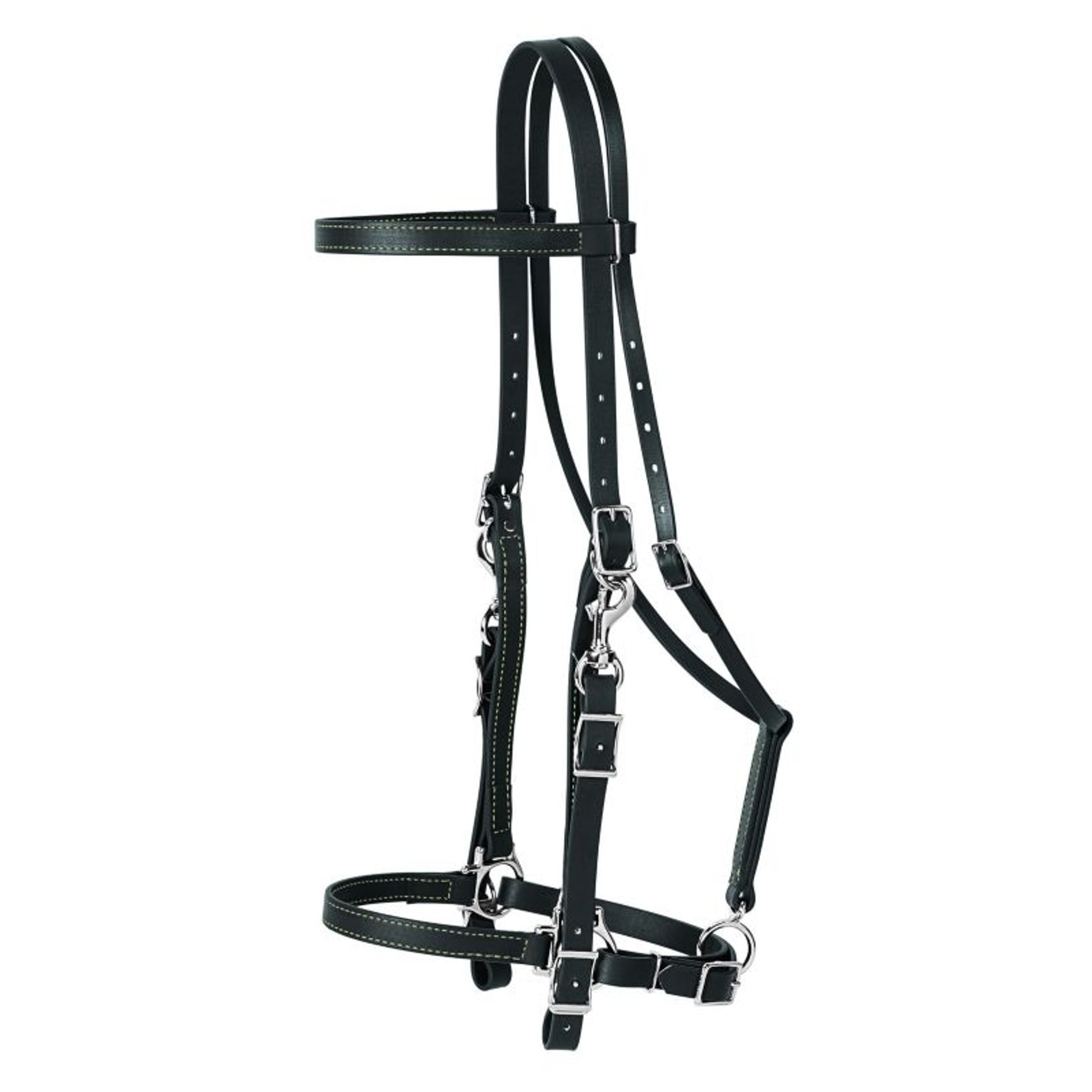 Weaver Brahma Synthetic Halter Bridle