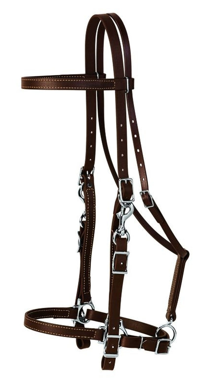 Weaver Brahma Synthetic Halter Bridle
