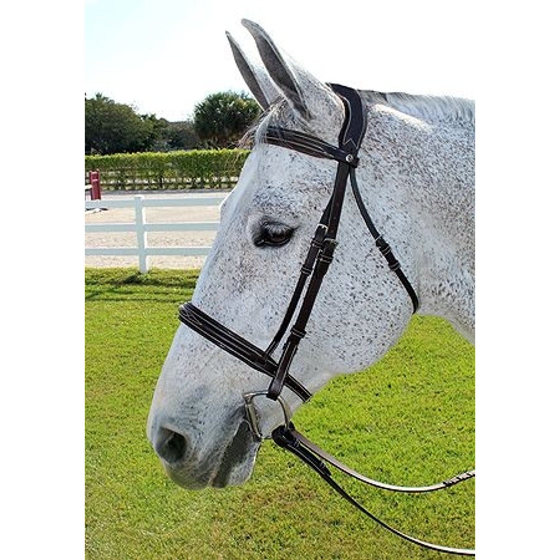 HDR Pro Mono Crown Fancy Bridle