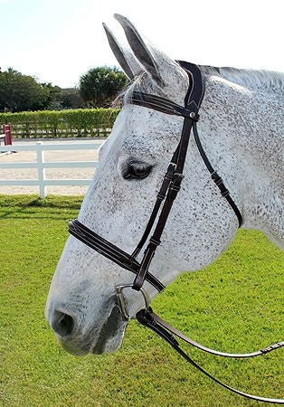 HDR Pro Mono Crown Fancy Bridle