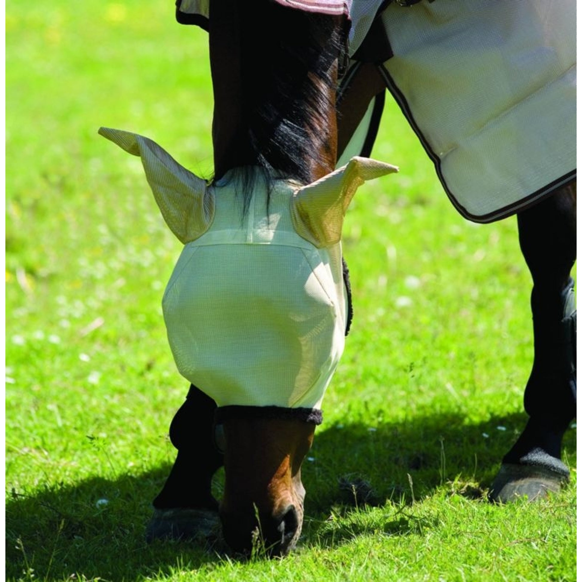 Amigo Fly Mask with Ears