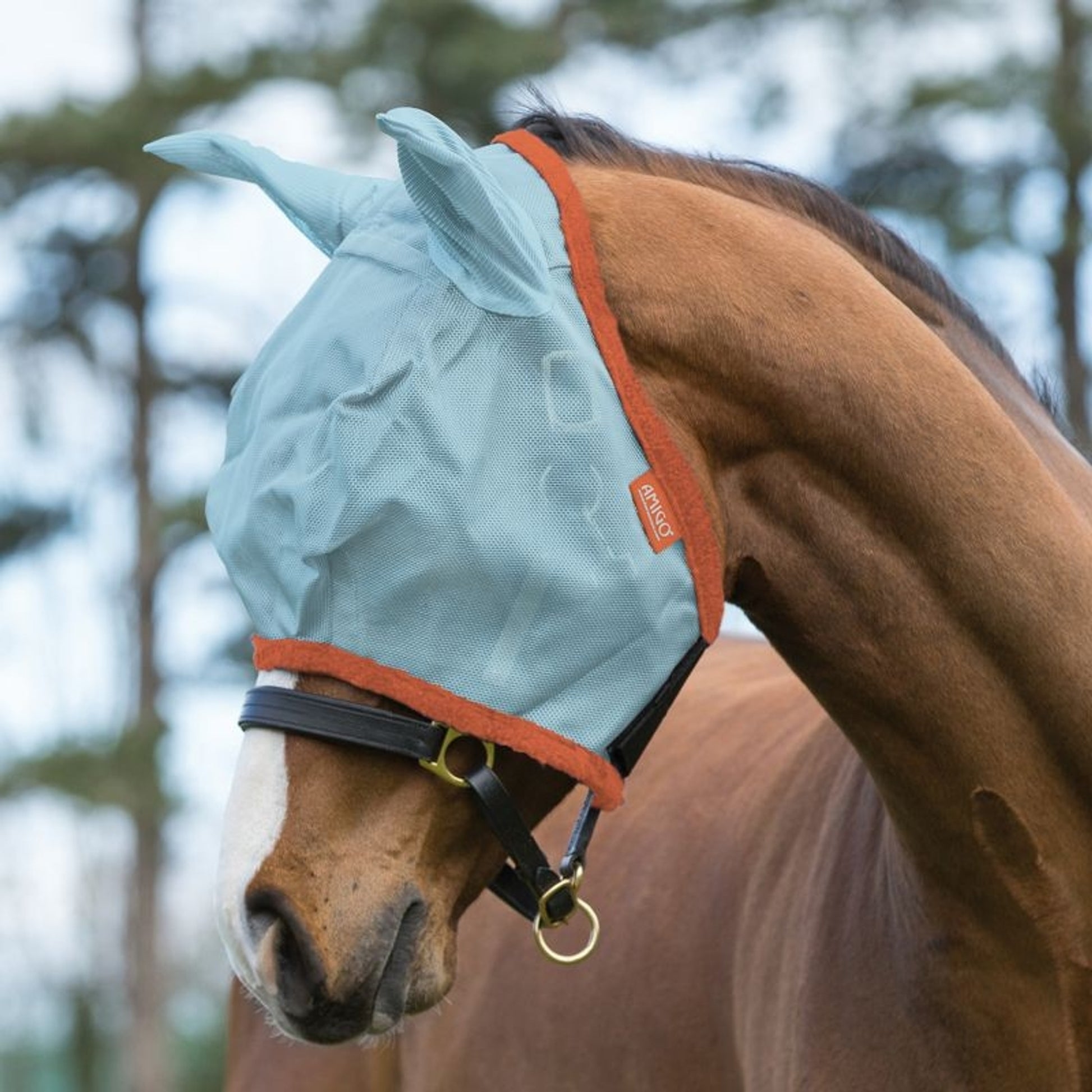 Amigo Fly Mask with Ears